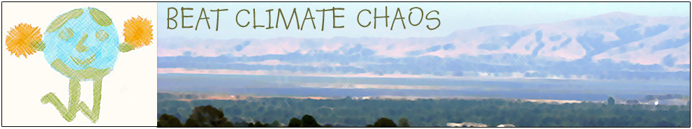 Beat Climate Chaos header image 4
